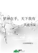 񼶽ϵͳ